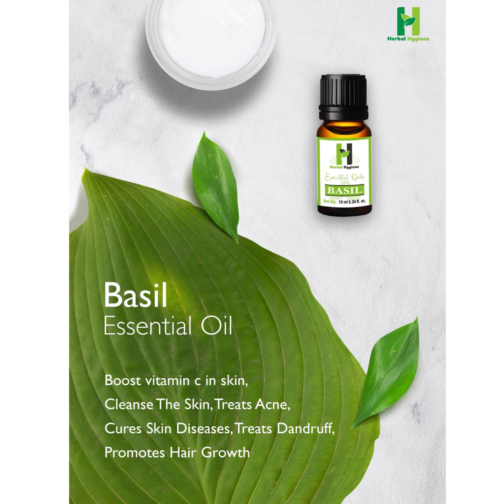 Basil Essential Oil - 100% Natural Aromatherapy Oil | Herbal Hygiene- 10 ml