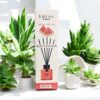 LULUZ Musk Melon Reed Diffuser - 50ml, Compact Air Freshener for Fresher Home, Office, or Car Spaces