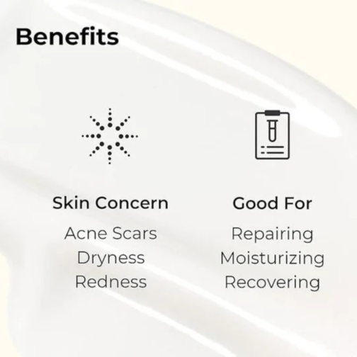 COSRX Advanced Snail 92 All in One Cream – 100ml  Moisturizing Face Cream with Snail Mucin - Image 6